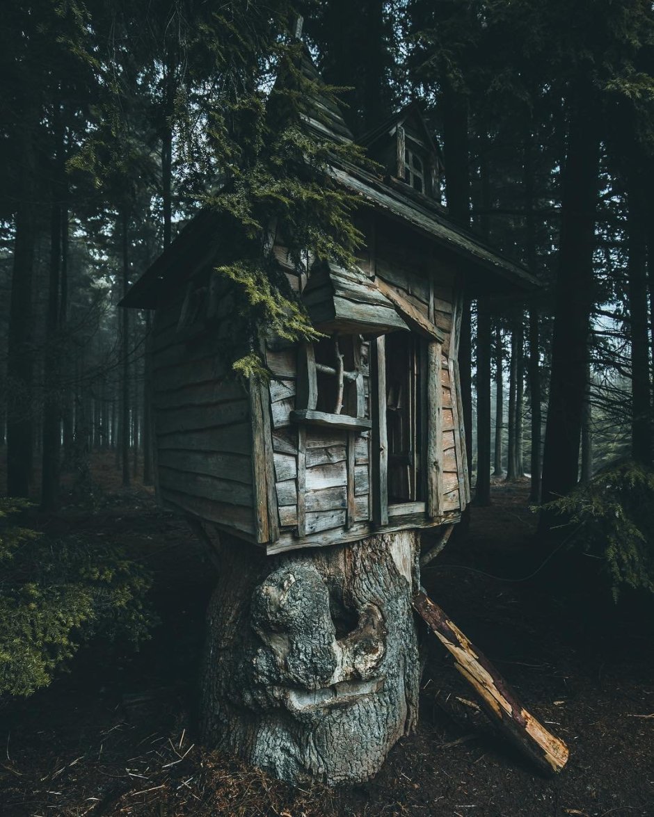 Заброшенный дом в лесу
