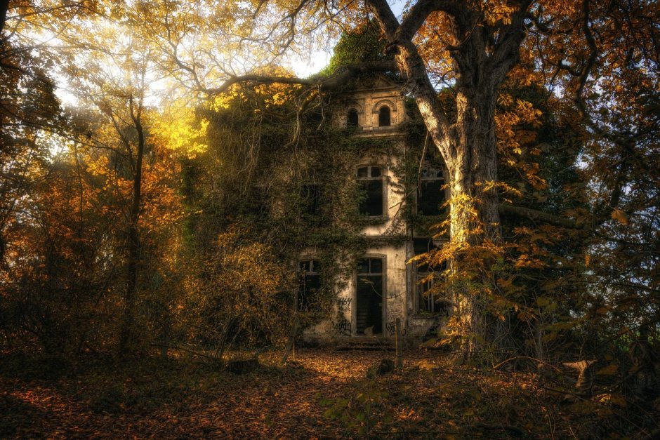 Заброшенный дом в лесу