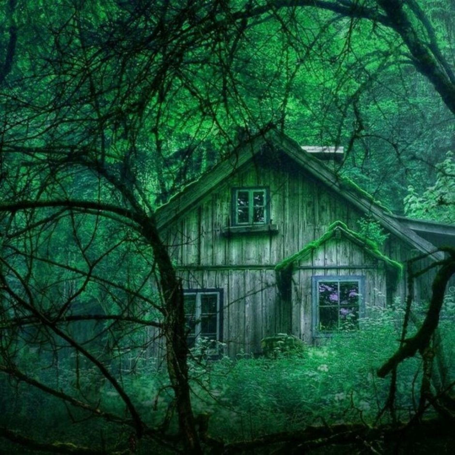 Страшный заброшенный дом в лесу