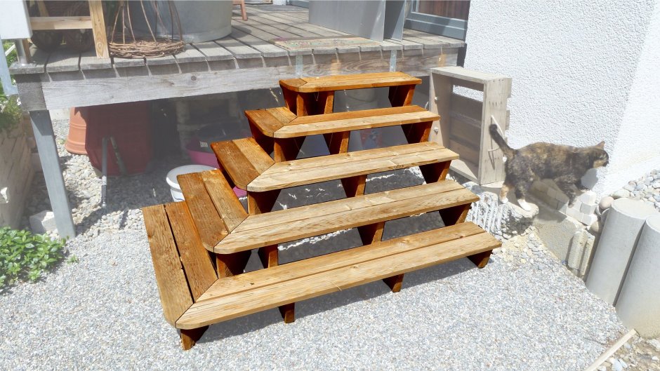 Stairway is under Construction Cats
