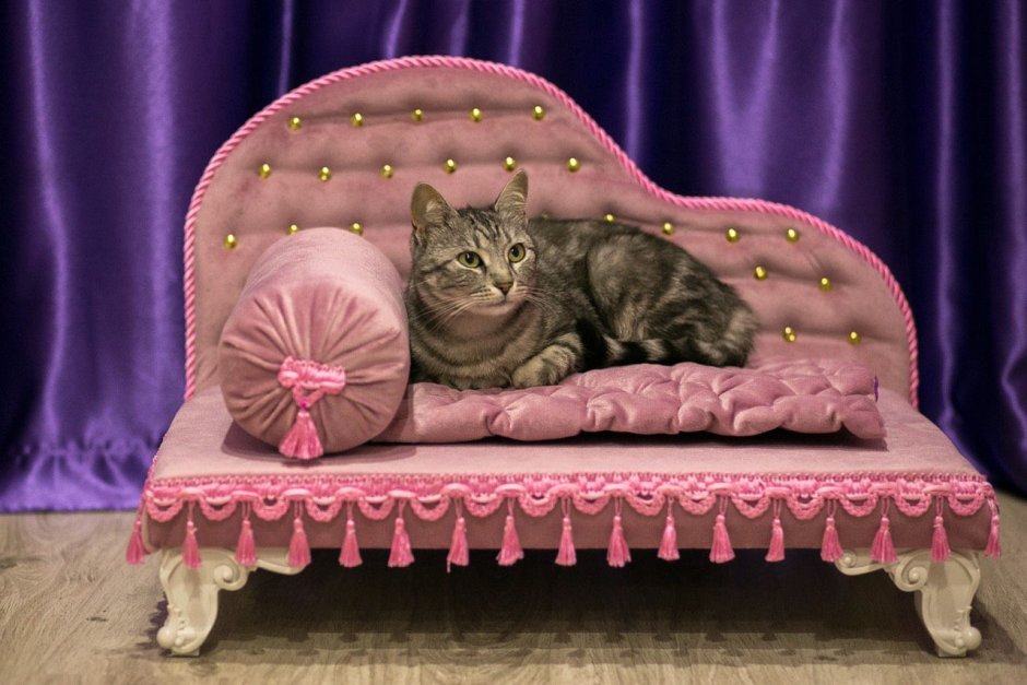 Диванчик для кошки