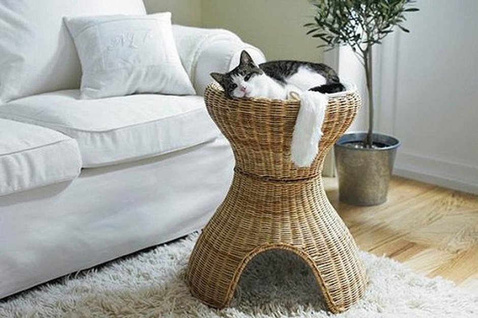 Кошка в интерьере