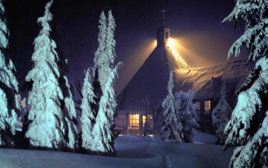 Новогодний домик в ночном лесу