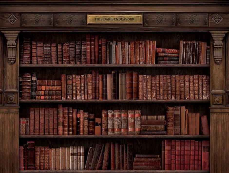 Книжный шкаф Хогвартс