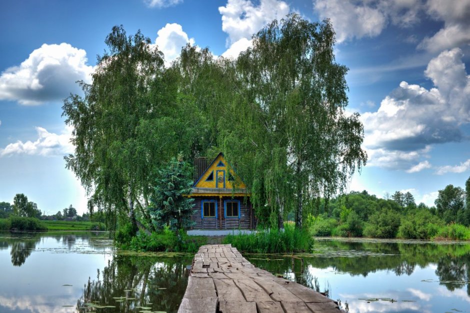 Природа лес река деревенский дом березы