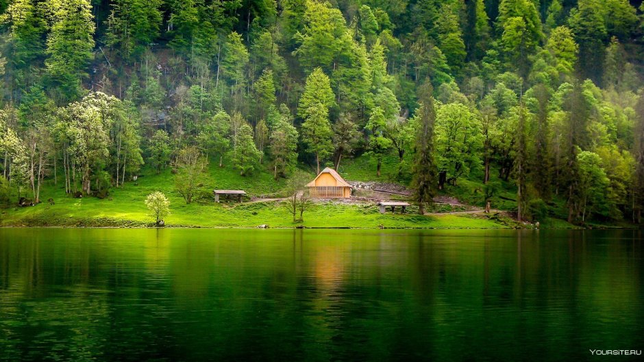Фахверк Швейцария горы озеро лес
