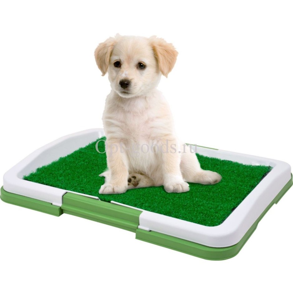 Туалет Puppy Potty Pad