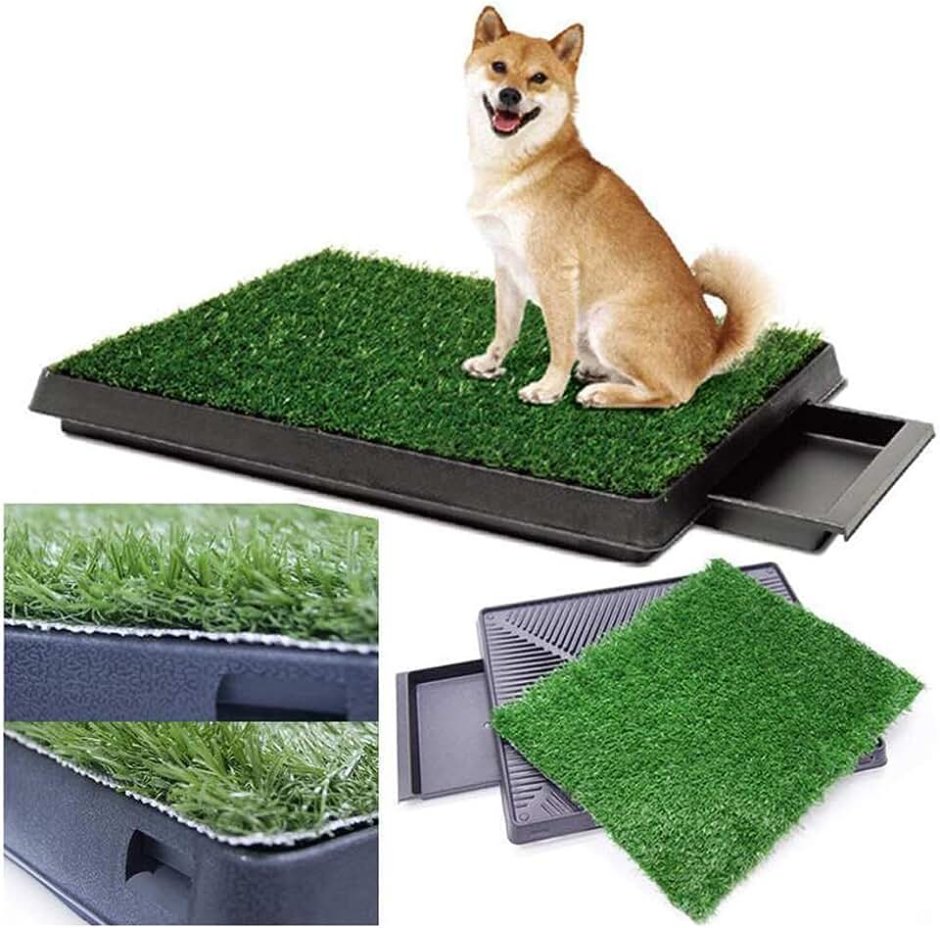 PETZOOM Pet Potty