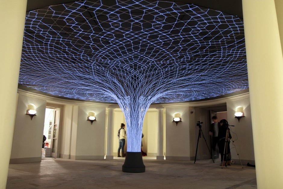 Инсталляция дерево