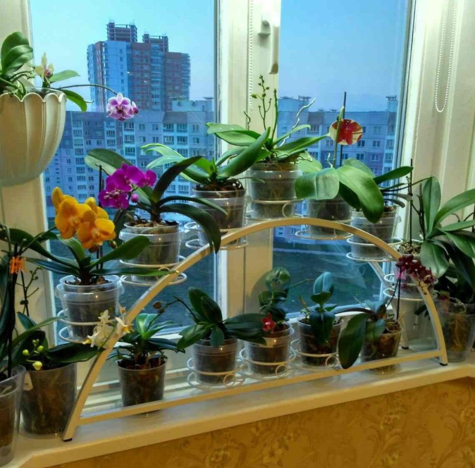Олочкс на подоконник для цветов