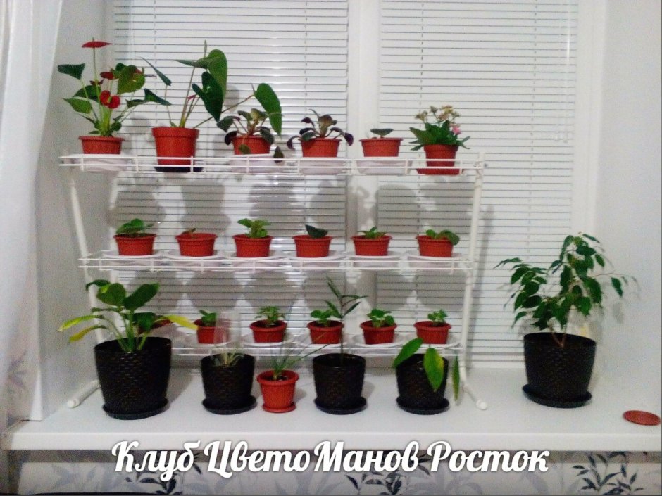 Полка для рассады на подоконнике