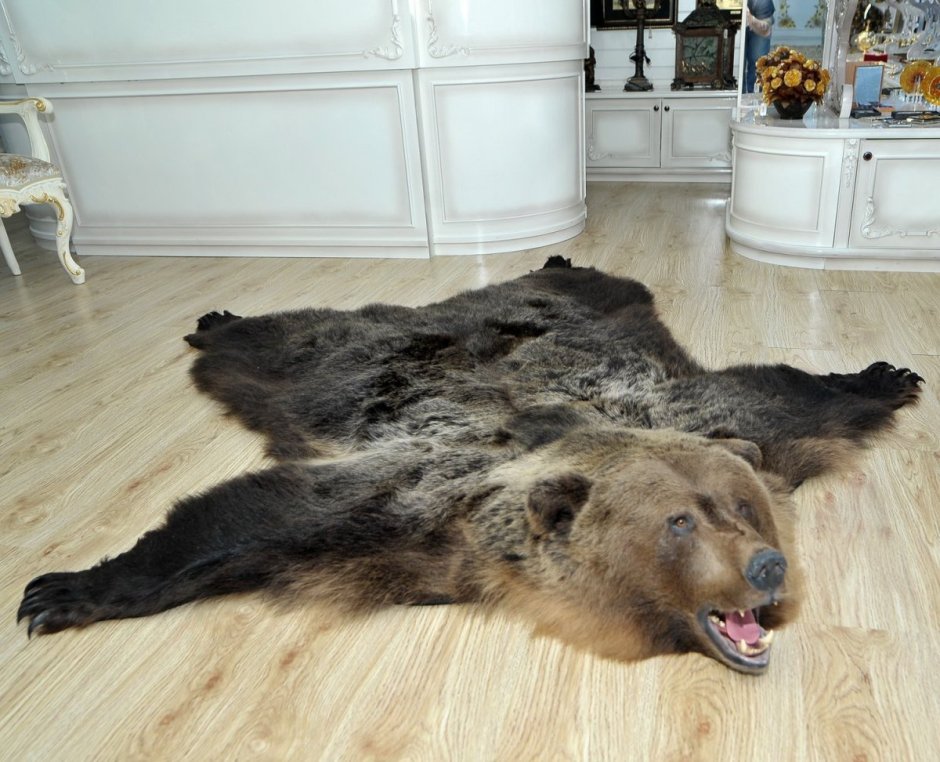 Шкура медведя