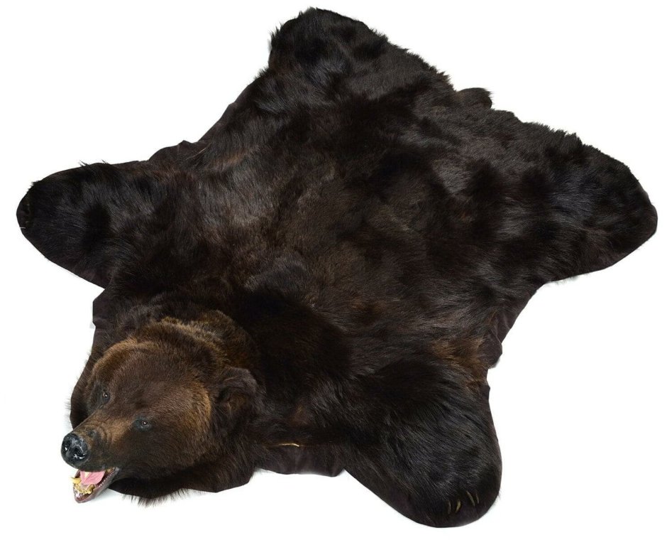 Шкура медведя