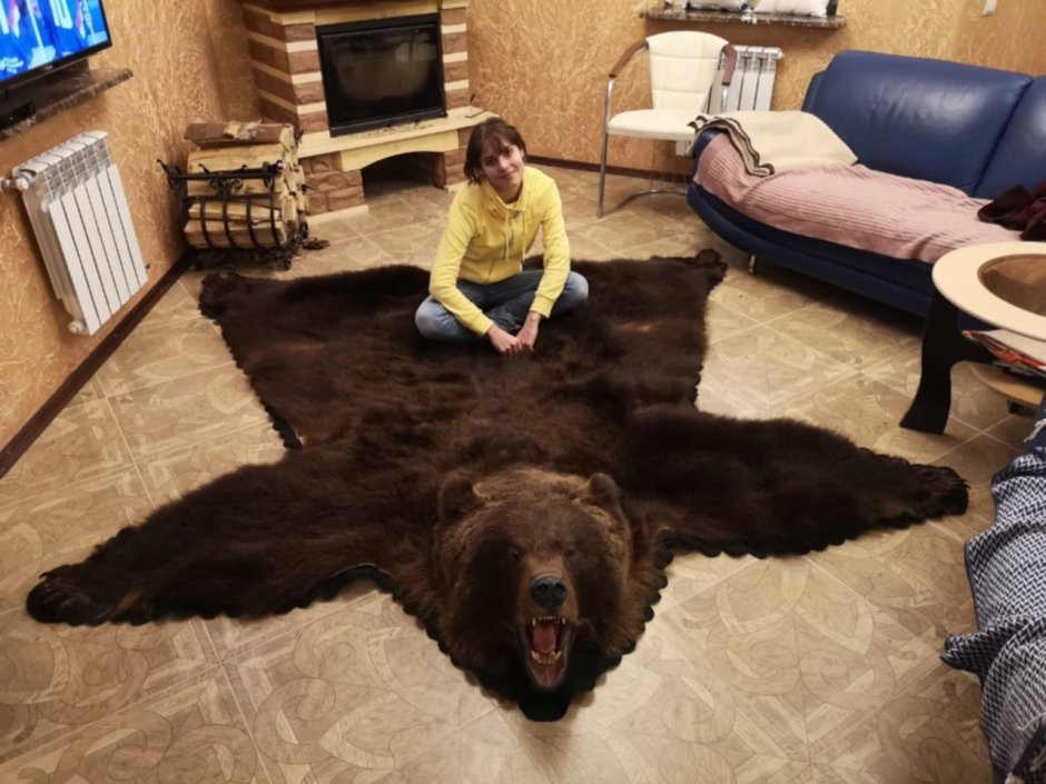Ковер из медведя