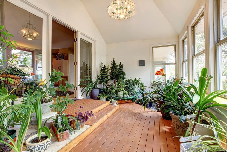 Красивые комнаты с растениями