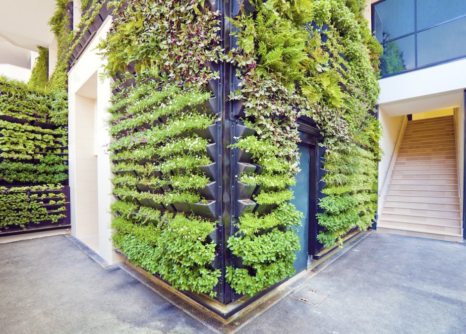 Gardena вертикальное Озеленение