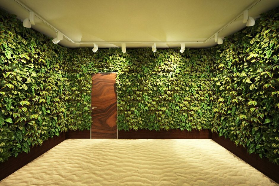 Зеленая стена из искусственных растений