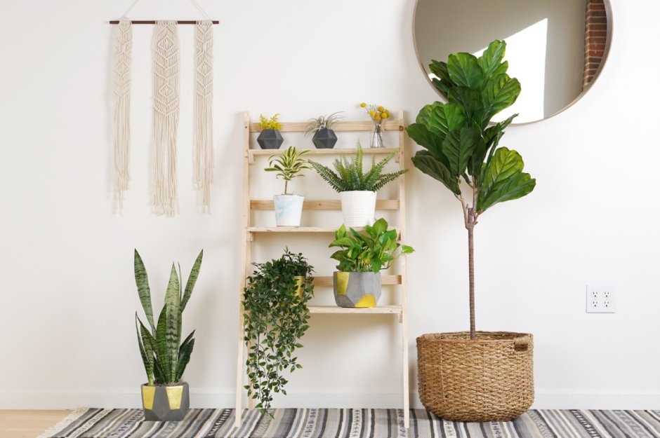 House Plants Stand