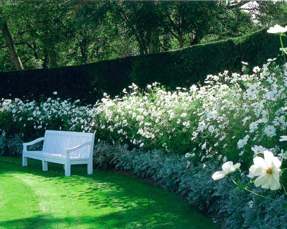 Сад в белых тонах