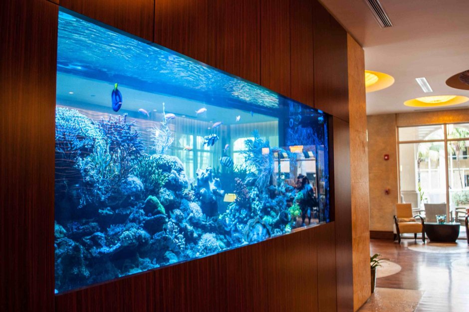 Аквариум (Fish Tank) 2009