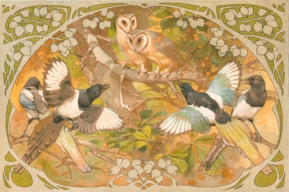Птицы Модерн