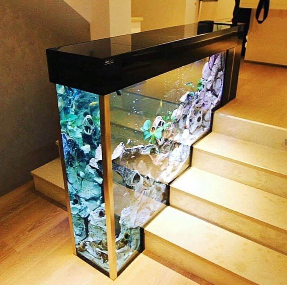 Aquayou аквариумы