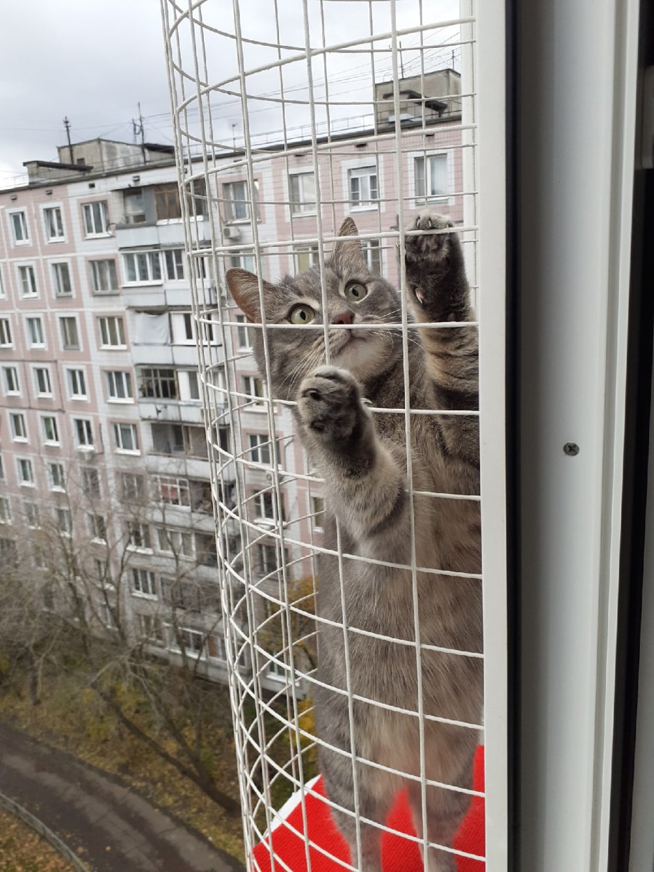 Кошачий балкон антикошка katfreedom
