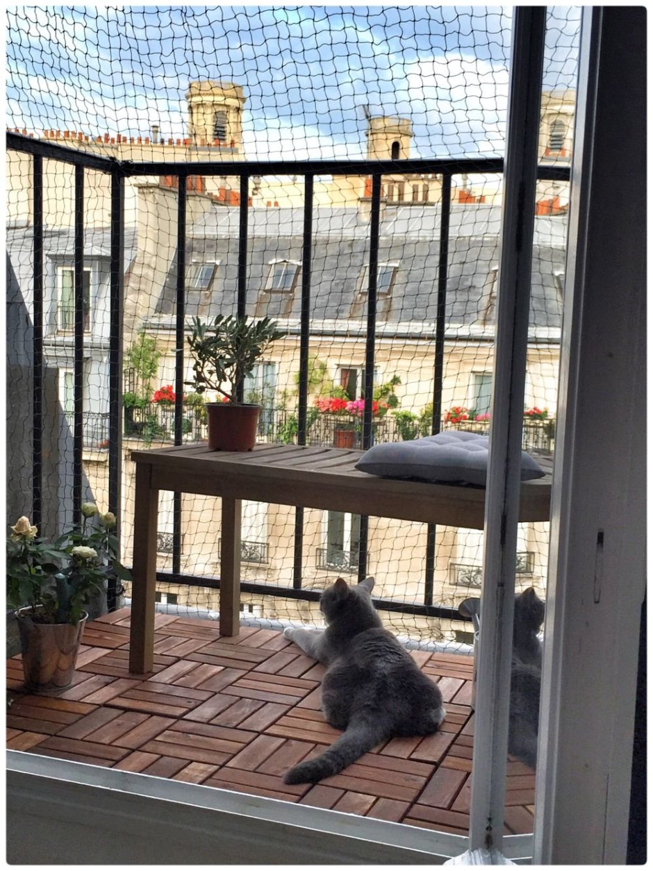 Сетка антикошка на открытый балкон