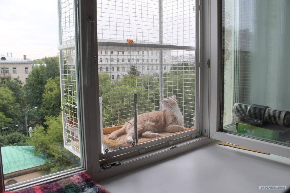 Клетка антикошка для кошек на окно