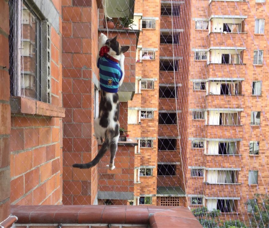Защита на балкон для кошек