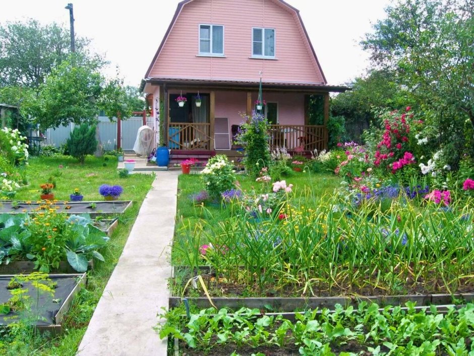 Дачный домик с огородом