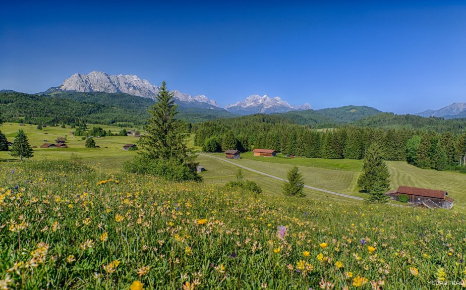 Альпийские Луга Германии