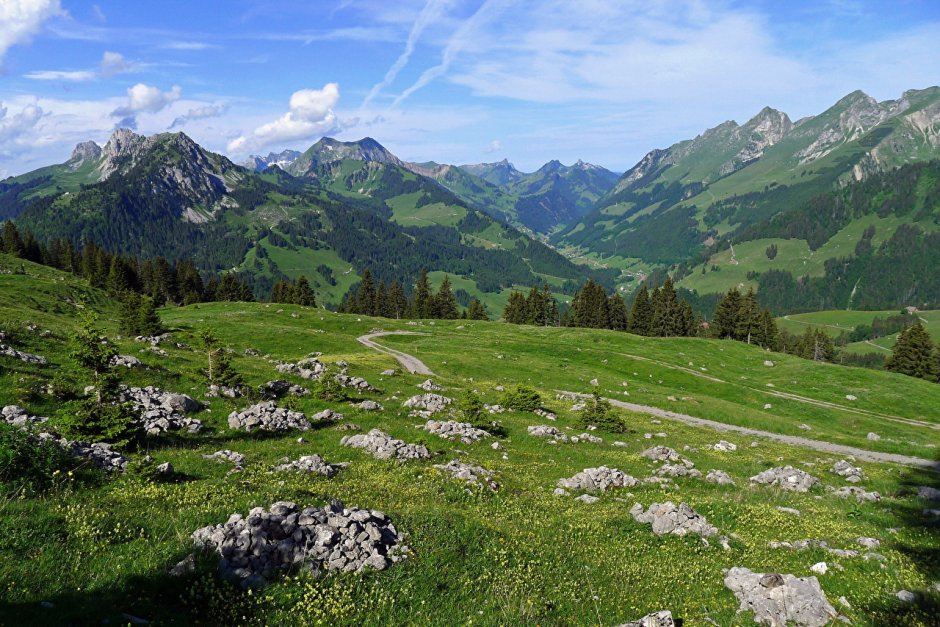 Альпийские Луга Швейцария