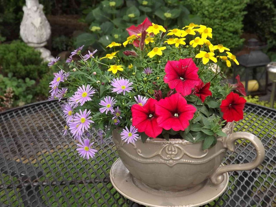 Цветник в горшках на лето