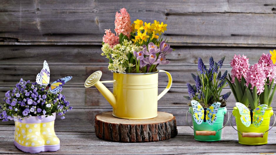 Горшок с цветами