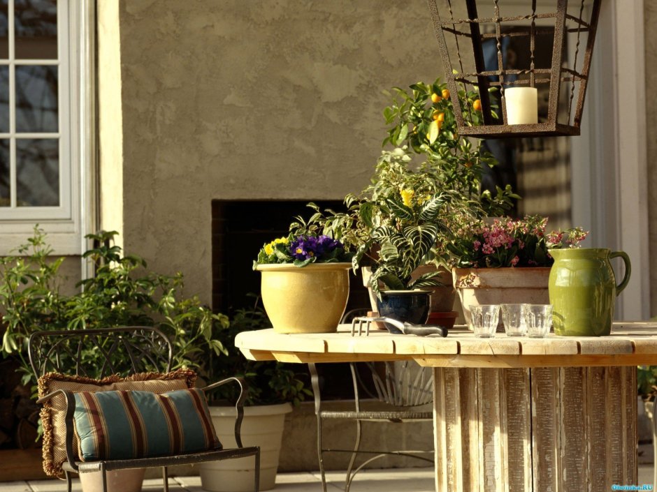 Комната с цветами в горшках
