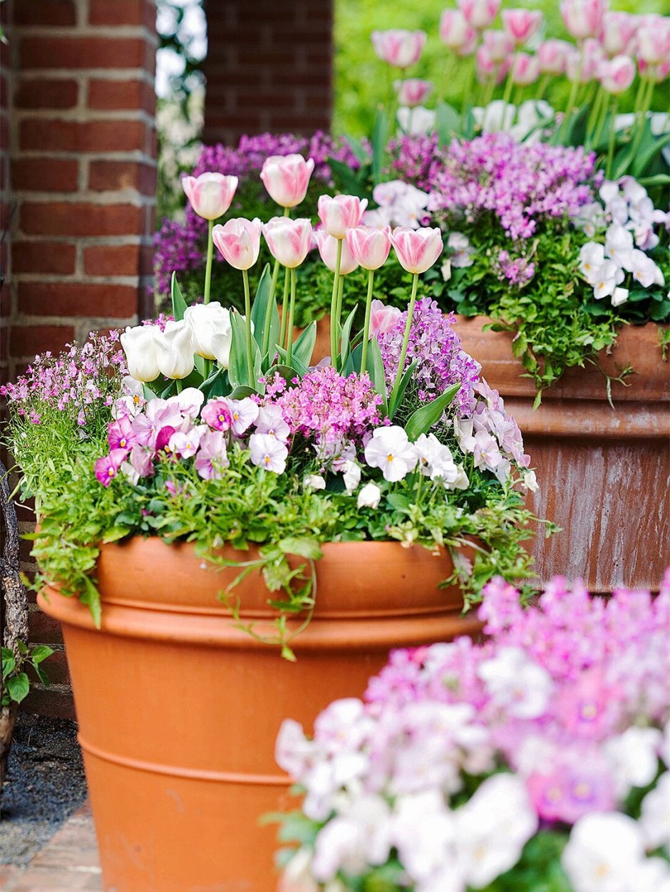 Цветочные композиции в контейнерах