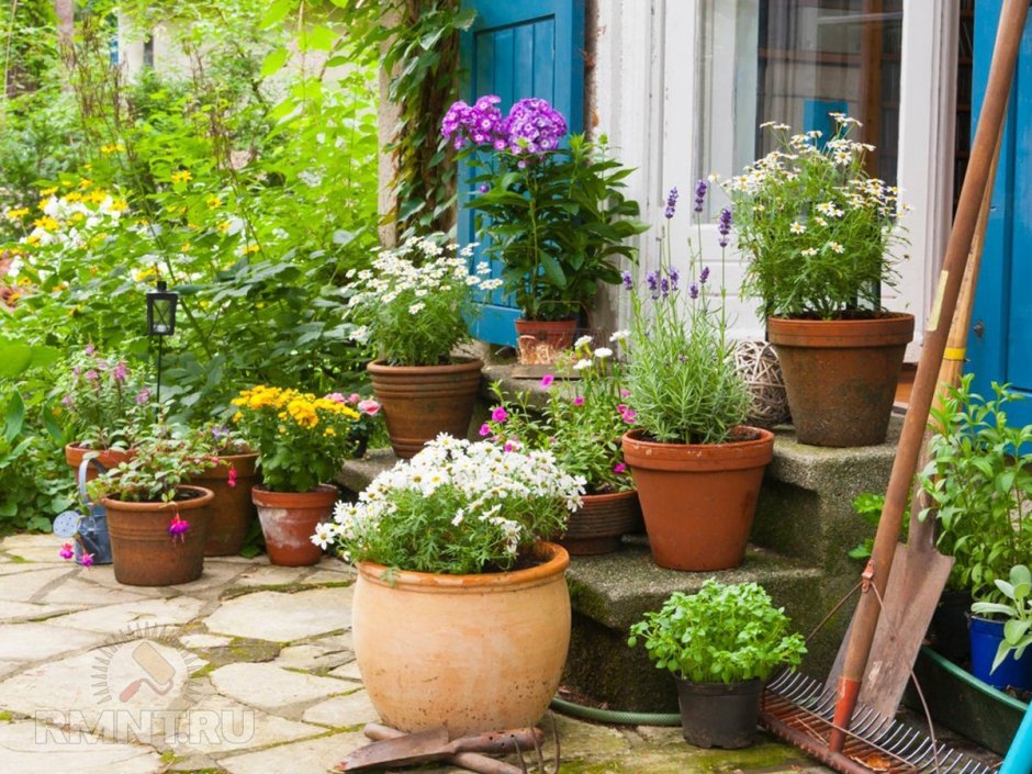 Цветы в кашпо на террасе