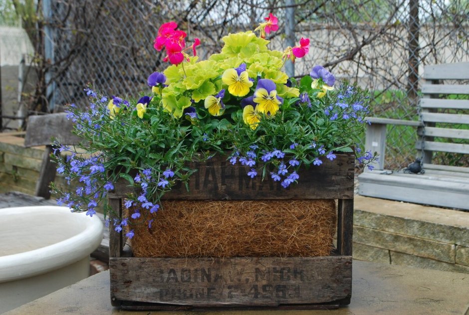 Композиция в контейнере