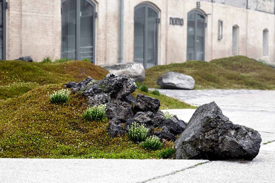 Сад камней в скандинавском стиле