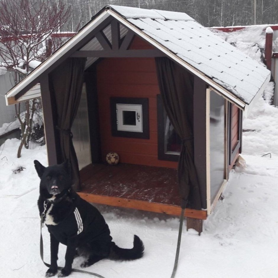 Зимние будки для больших собак