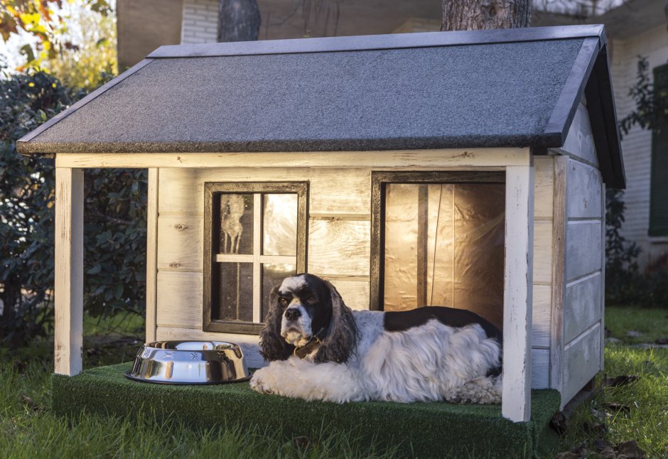Уютный домик будка для собаки