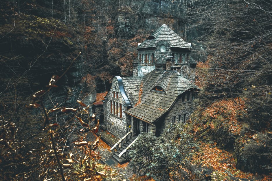 Дом в лесу
