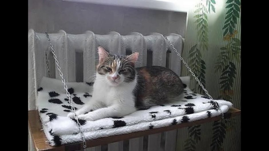 Лежак для кошки на батарею