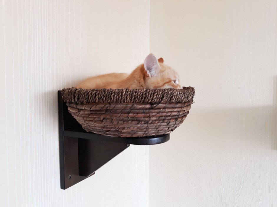 Корзинка для котов на стену