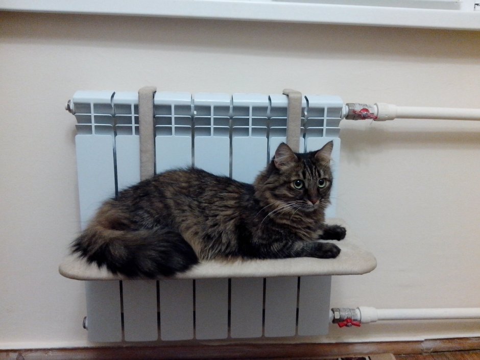 Сушилка на батарею для кота