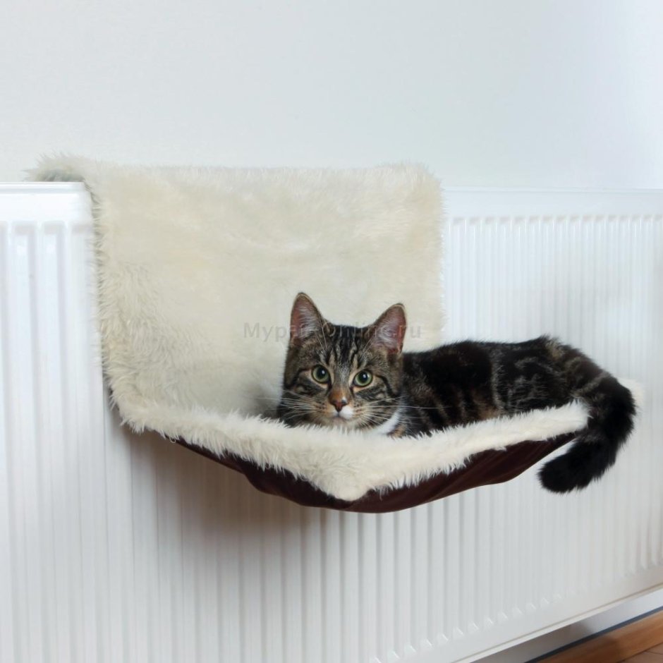 Гамак для кошек Trixie 43921 38х38 см