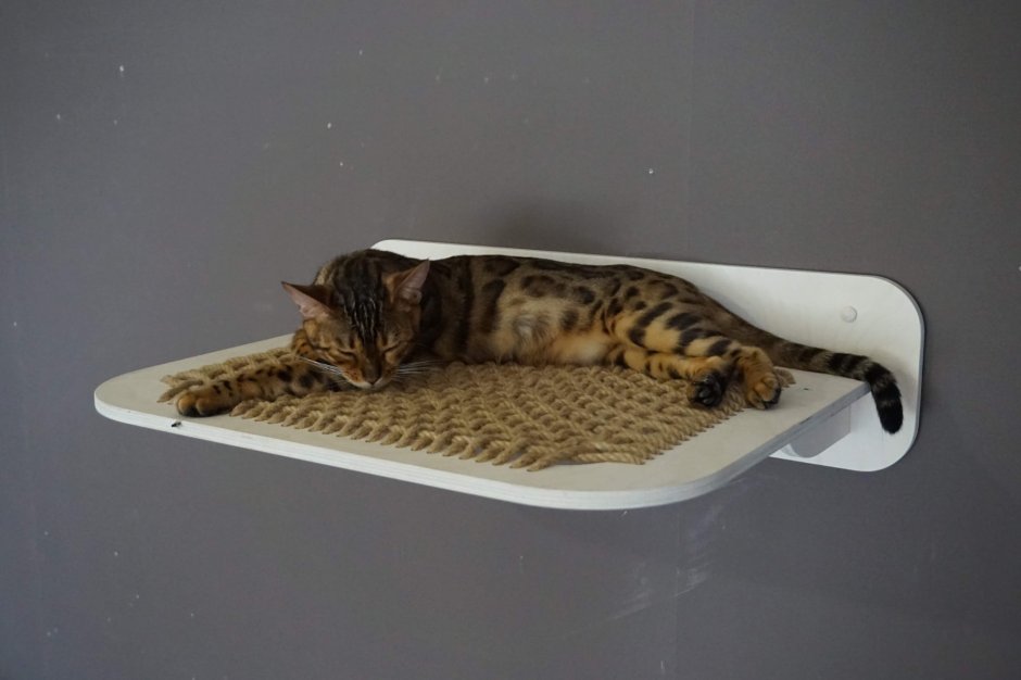 Гамак настенный для кошек