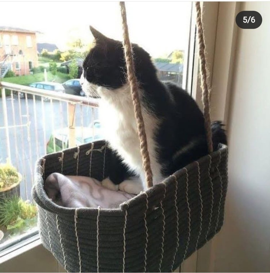 Лежак для кота на балконе