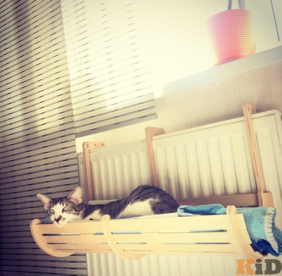 Кошачья лежанка на батарею